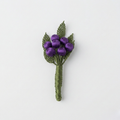 Viola